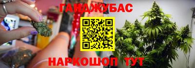 крисы Жуковский